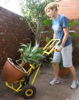 Pain free gardening